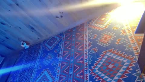 Snapshot of lefrancais33000 chatting on 02-20-25, 10:37 Dliciousman online show from 02-20-25, 10:37