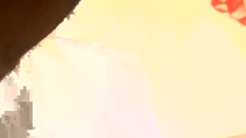 legal4 online show from 03-11-26, 06:25