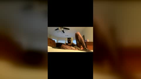 lelesmayone online show from 05-25-26, 10:54