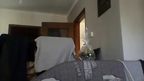 lelshop online show from 12-08-24, 09:57