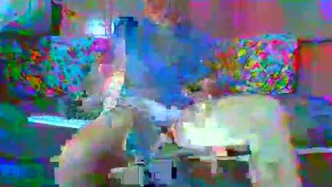 Snapshot of lemao77 chatting on 01-15-26, 01:43 SEX MASTER online show from 01-15-26, 01:43