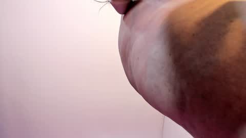 LORENA online show from 12-31-24, 05:07
