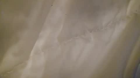 leojenks online show from 02-11-26, 07:02