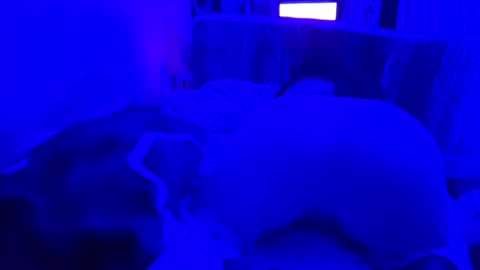 leothegirl88 online show from 06-16-26, 11:57