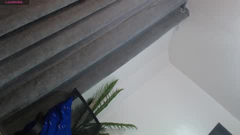 Trisha18 online show from 01-27-25, 06:09