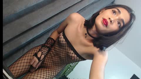 Trisha18 online show from 02-04-25, 06:17