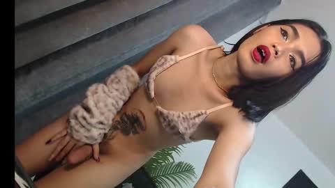 Trisha18 online show from 03-01-25, 05:42