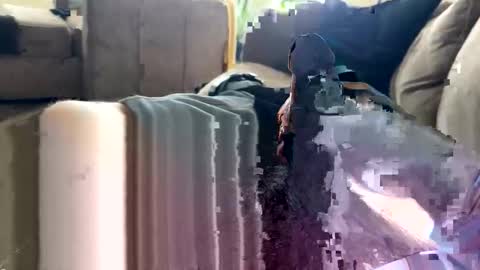 letgetnaughty12345 online show from 03-24-26, 03:06