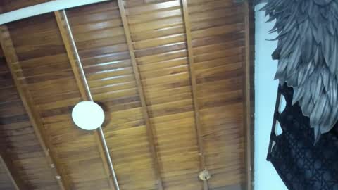 LevySteven online show from 11-16-25, 10:59