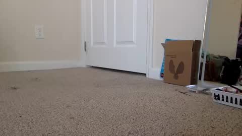 Alexia L. online show from 11-19-25, 04:40