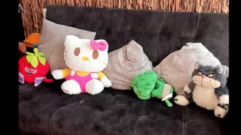 Snapshot of lia_rip01 chatting on 10-17-25, 02:52 lia_rip01 online show from 10-17-25, 02:52