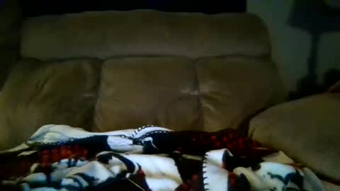 lickeypus online show from 02-15-26, 07:51