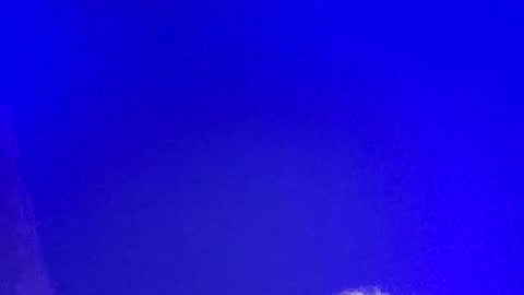 Snapshot of lickyouryoni chatting on 03-03-25, 02:48 LickYourYoni online show from 03-03-25, 02:48