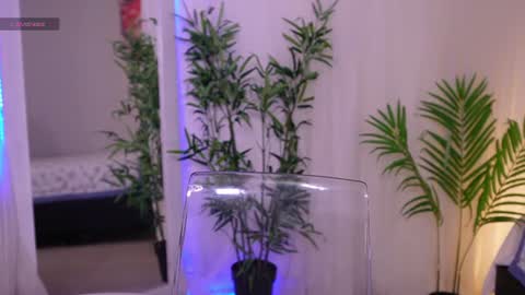 Lia Sweet online show from 06-19-26, 04:22