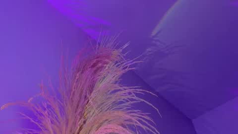 Liiam Luna online show from 01-07-26, 12:40