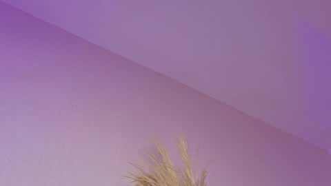 Snapshot of liiamluna chatting on 04-21-26, 11:05 Liiam Luna online show from 04-21-26, 11:05