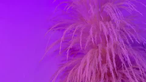 Snapshot of liiamluna chatting on 05-06-26, 11:04 Liiam Luna online show from 05-06-26, 11:04
