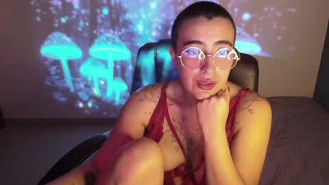 im MIA  -- MY OF is catsito3 online show from 02-22-25, 09:34
