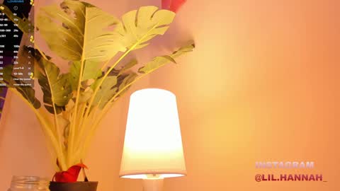 Hanna online show from 12-23-24, 03:01