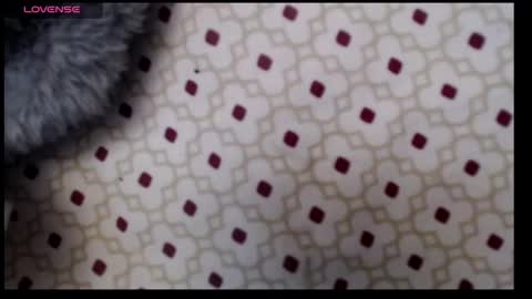 lildragon069 online show from 12-07-24, 09:28