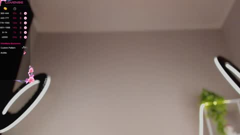 lili__roze_ online show from 01-31-25, 12:39