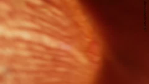 Snapshot of lilicum301 chatting on 11-24-25, 01:27 your love online show from 11-24-25, 01:27