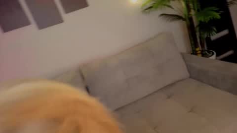 Snapshot of lililok101 chatting on 10-17-25, 02:04 lililok101 online show from 10-17-25, 02:04