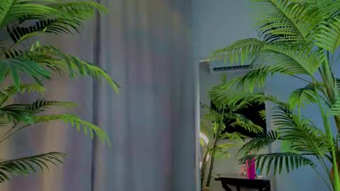 Snapshot of lililok101 chatting on 11-19-25, 02:22 lililok101 online show from 11-19-25, 02:22