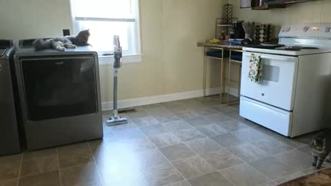 lilly_adams88 online show from 03-21-26, 09:51