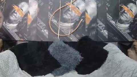 lilmissbaddiexxx online show from 05-05-26, 06:16