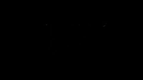 lilpresident online show from 02-12-25, 08:18