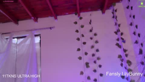 Snapshot of lily_bunny_1 chatting on 12-06-24, 10:19 Fansly LilyBunny- help me reach 50 thumbs up online show from 12-06-24, 10:19