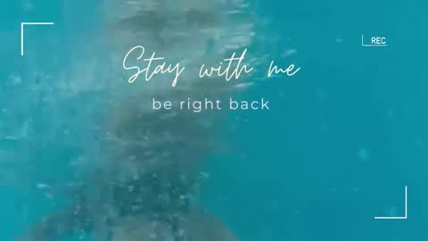 Snapshot of lily_foster_ chatting on 09-22-25, 05:42 Lily online show from 09-22-25, 05:42