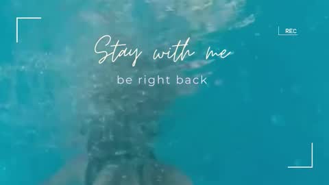 Snapshot of lily_foster_ chatting on 09-23-25, 07:00 Lily online show from 09-23-25, 07:00