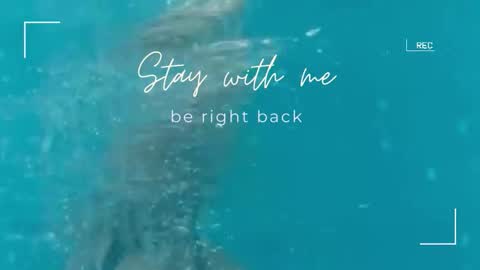 Snapshot of lily_foster_ chatting on 09-29-25, 11:48 Lily online show from 09-29-25, 11:48