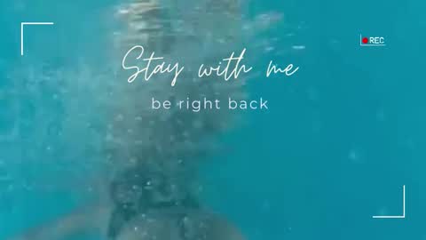 Lily online show from 11-19-25, 12:27