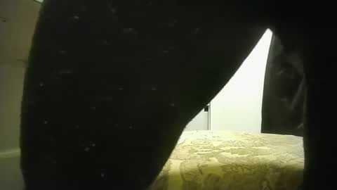 lily lovelyman online show from 12-19-24, 09:17