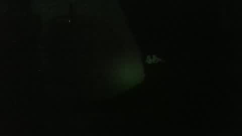 lily lovelyman online show from 12-26-24, 04:53