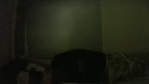 lily lovelyman online show from 02-01-25, 06:08