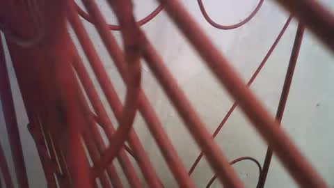 Richie Rich online show from 10-11-25, 05:00