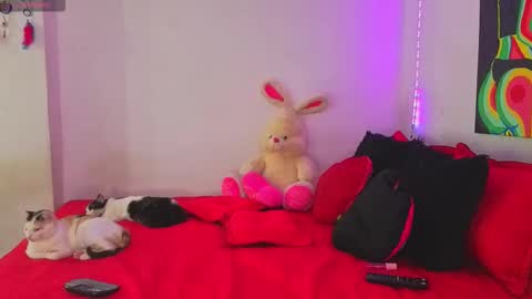 linda_rose28 online show from 09-16-25, 02:07