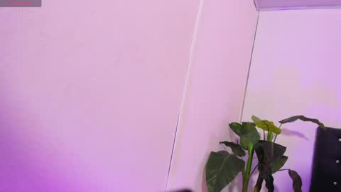 Snapshot of lindsay_tay chatting on 04-21-26, 03:24 Linda online show from 04-21-26, 03:24