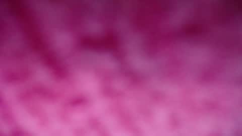 Snapshot of lindsey_2023 chatting on 12-29-24, 09:20 lindsey_2023 online show from 12-29-24, 09:20