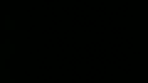 lion_hotty online show from 02-08-26, 03:21