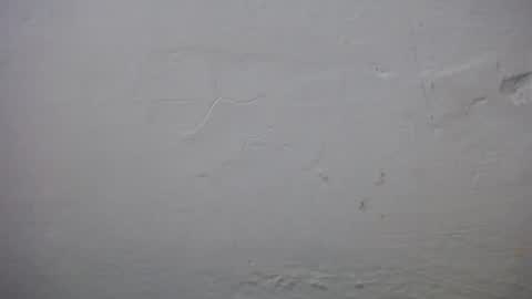 lisa_branch online show from 11-23-25, 10:37