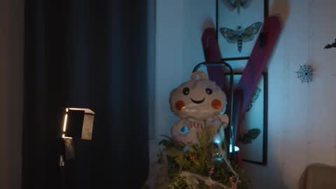 Anita B-day stream on 7TH DEC  online show from 10-28-25, 04:53