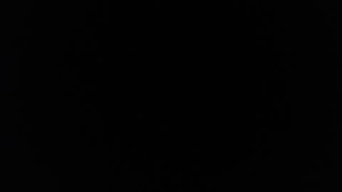 Snapshot of little_bunny_v chatting on 02-18-26, 08:05 little_bunny_v online show from 02-18-26, 08:05