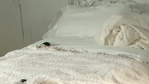 Snapshot of littlegreekflower chatting on 02-01-25, 11:16 Audra A online show from 02-01-25, 11:16