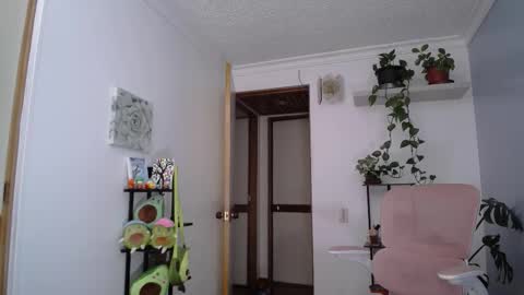 Laksmi online show from 03-07-26, 09:23