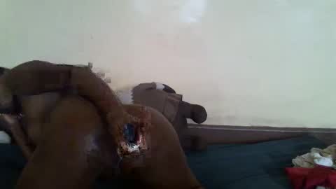 littlesandie online show from 03-10-25, 12:04